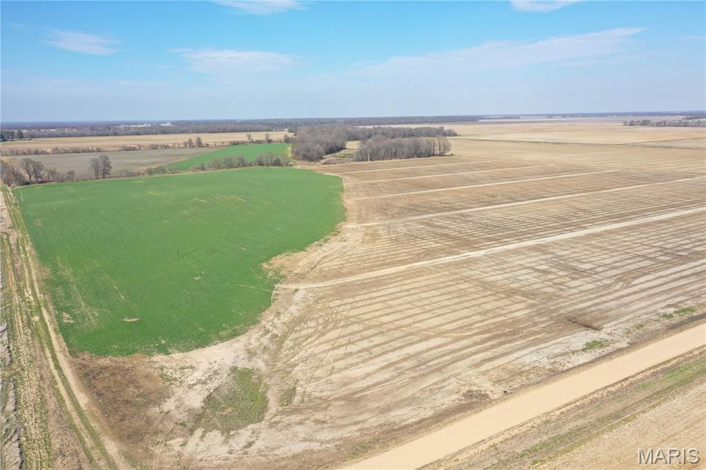 172 Clay County Road 172 Success, AR 72470 - Photo 6 of 17