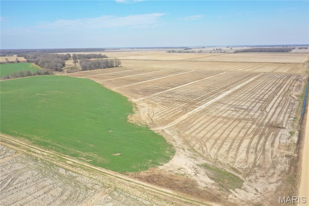 172 Clay County Road 172 Success, AR 72470 - Photo 7 of 17