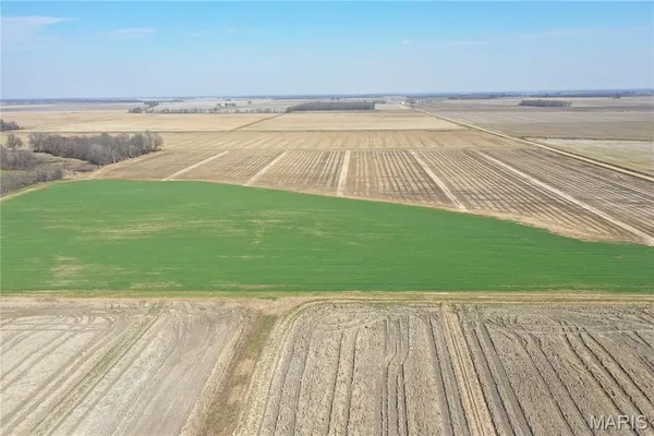 $240,000 | 172 Clay County Road 172, Success, AR 72470