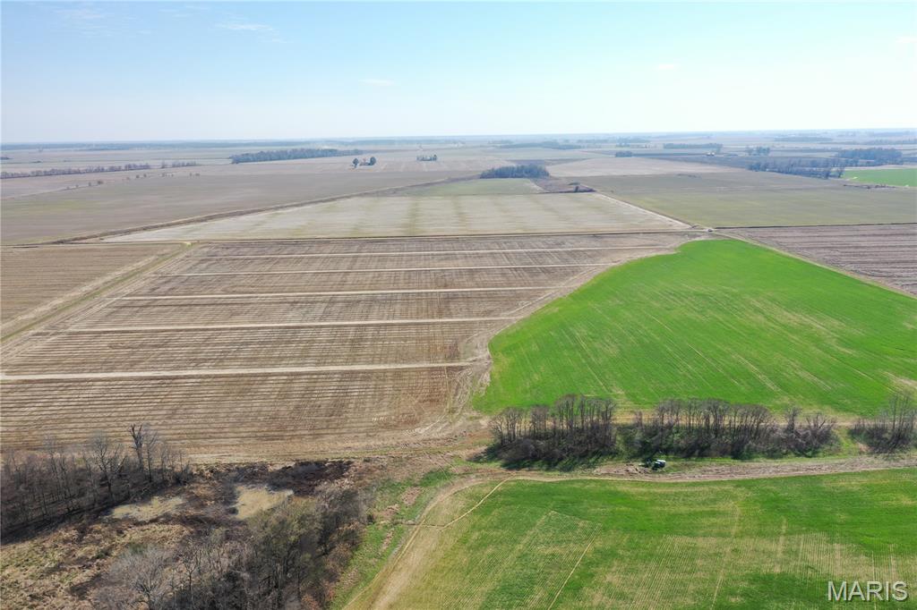 172 Clay County Road 172 Success, AR 72470 - Photo 10 of 17