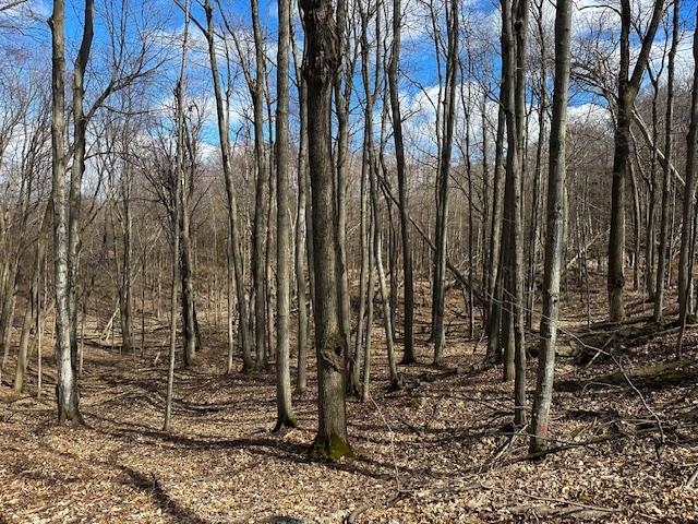 0 Stratton Lane Frankfort, MI 49635 - Photo 13 of 25 1927251-fb246e6a-f928-490e-a9f4-2955bdc3b245.JPG