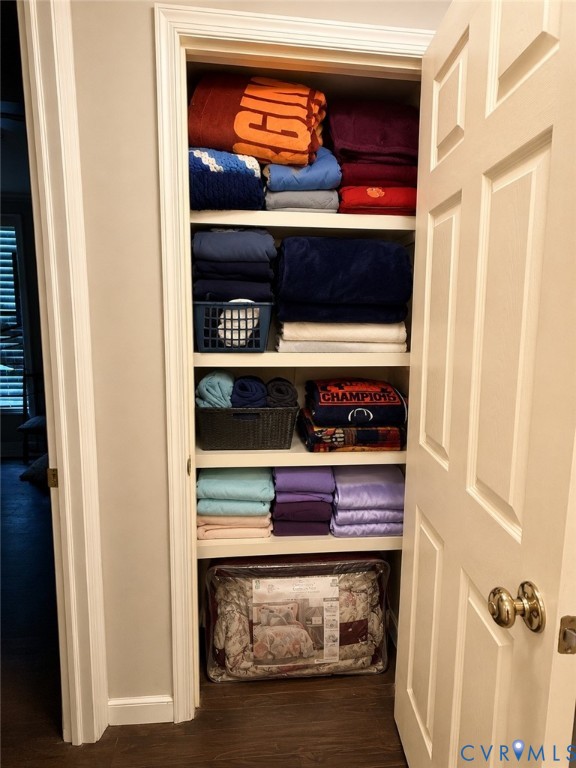 13613 Bundle Road Chesterfield, VA 23838 - Photo 21 of 37 Closet