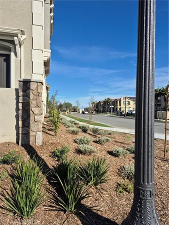a view of a palm tree next to a yard