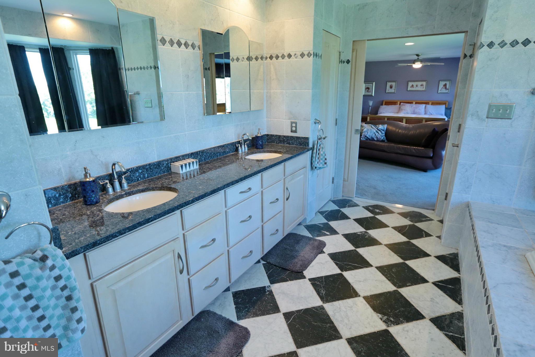 12103 Riverview Road Fort Washington, MD 20744 - Photo 18 of 30 Bath (Master)