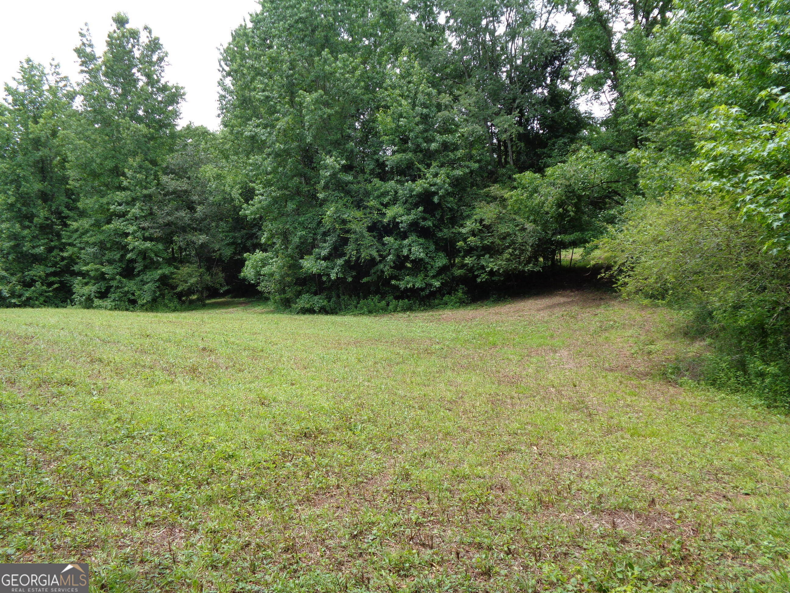 2411 Kesler Road Carnesville, GA 30521 - Photo 46 of 61 a view of an outdoor space and a yard