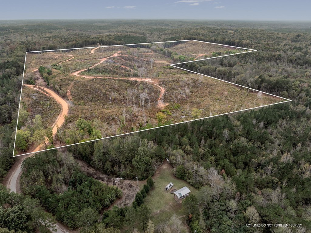 Lot 1 Guy Parham Lane Amory, MS 38821 - Photo 11 of 41 Photo 11