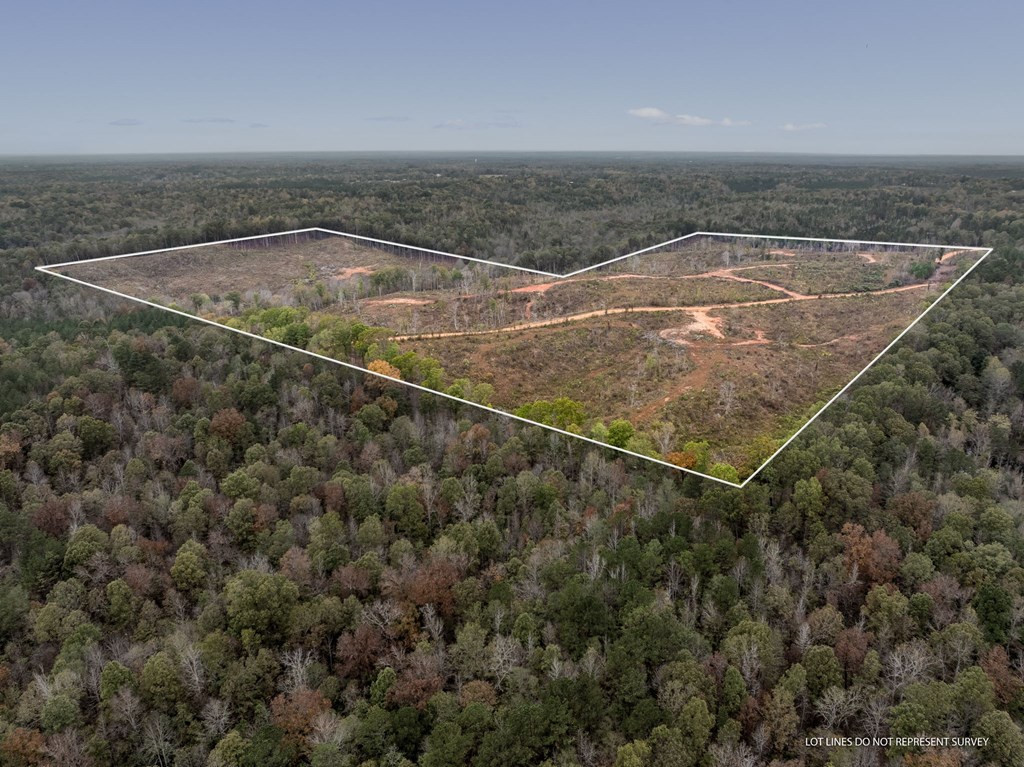 Lot 1 Guy Parham Lane Amory, MS 38821 - Photo 12 of 41 Photo 12