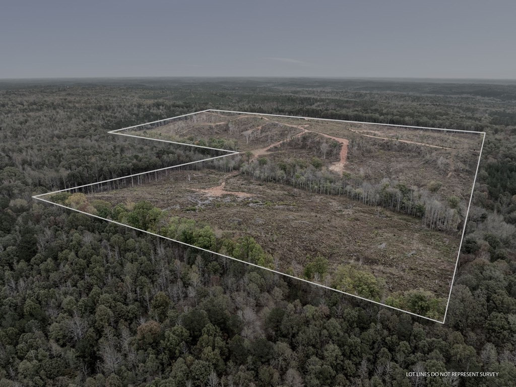 Lot 1 Guy Parham Lane Amory, MS 38821 - Photo 13 of 41 Photo 13