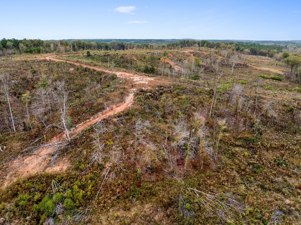 Lot 1 Guy Parham Lane Amory, MS 38821 - Photo 15 of 41 Photo 15