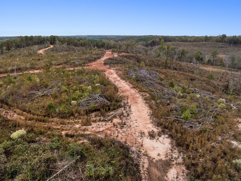 Lot 1 Guy Parham Lane Amory, MS 38821 - Photo 16 of 41 Photo 16