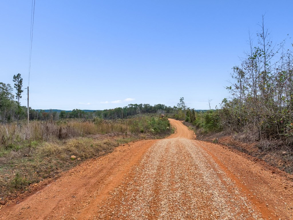 Lot 1 Guy Parham Lane Amory, MS 38821 - Photo 19 of 41 Photo 19