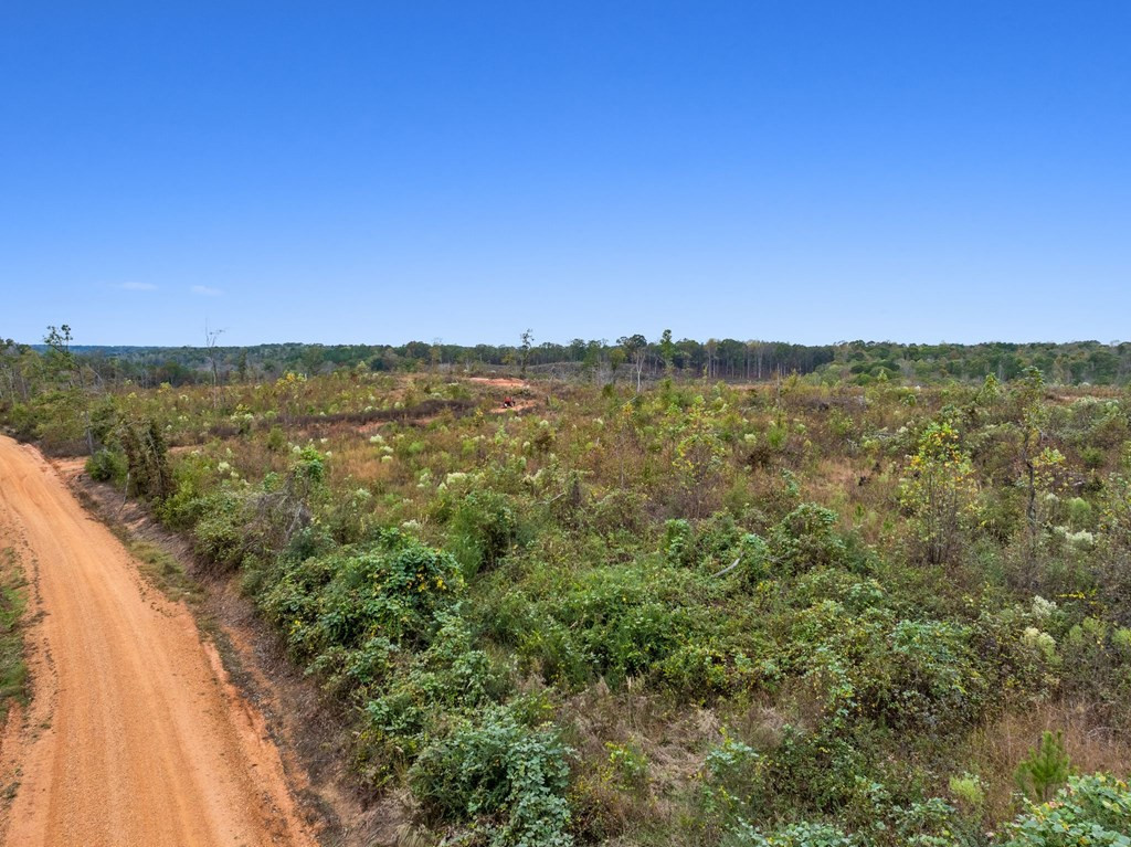 Lot 1 Guy Parham Lane Amory, MS 38821 - Photo 20 of 41 Photo 20