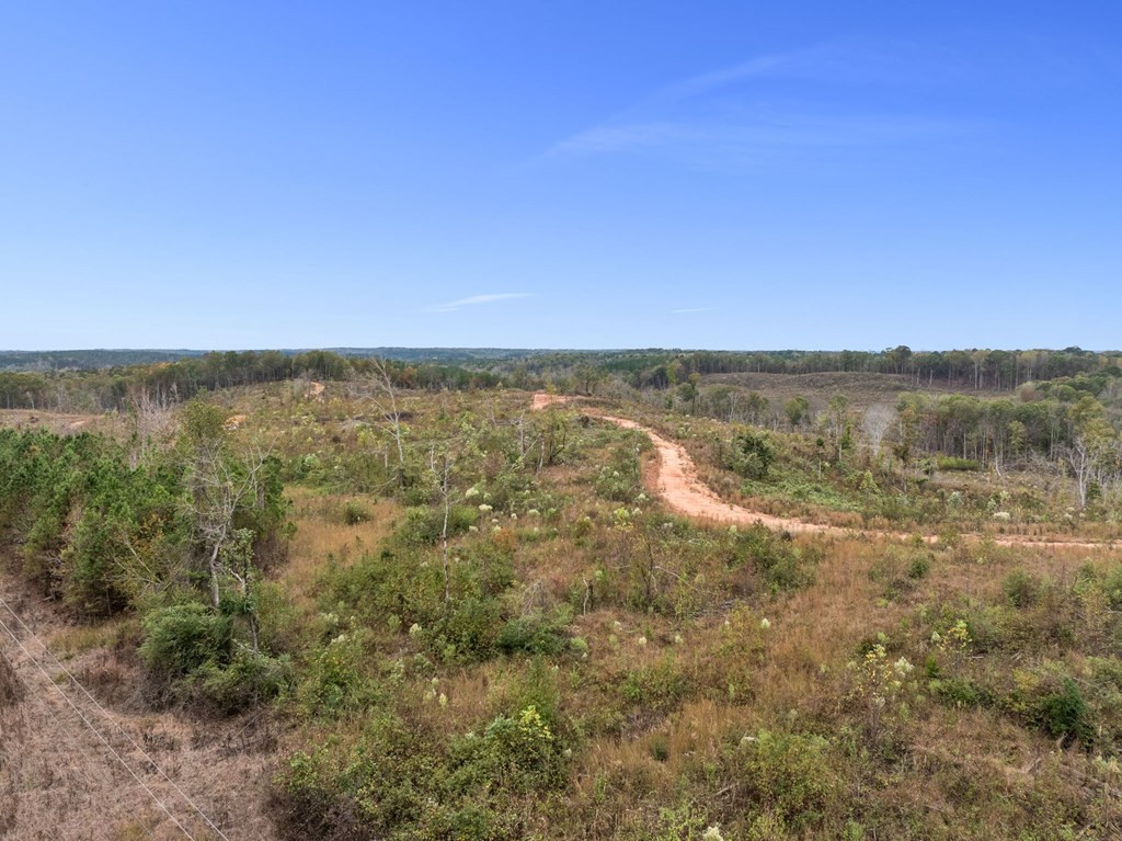 Lot 1 Guy Parham Lane Amory, MS 38821 - Photo 21 of 41 Photo 21
