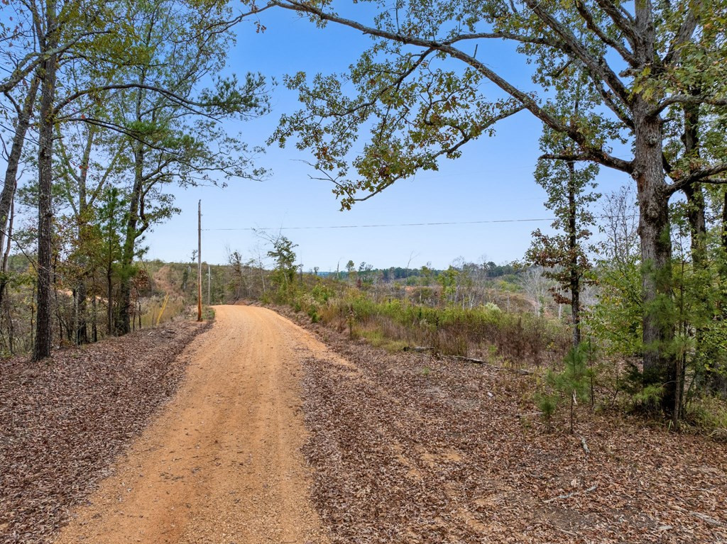 Lot 1 Guy Parham Lane Amory, MS 38821 - Photo 22 of 41 Photo 22
