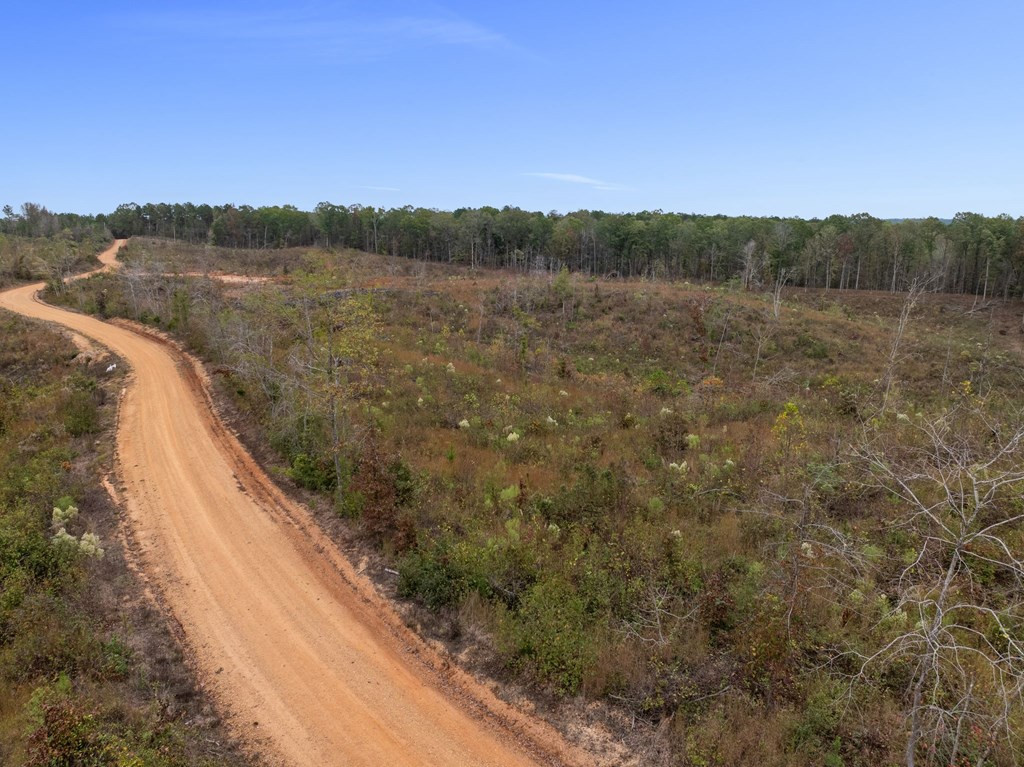Lot 1 Guy Parham Lane Amory, MS 38821 - Photo 23 of 41 Photo 23