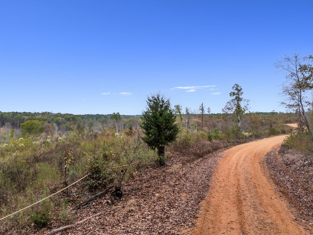 Lot 1 Guy Parham Lane Amory, MS 38821 - Photo 24 of 41 Photo 24