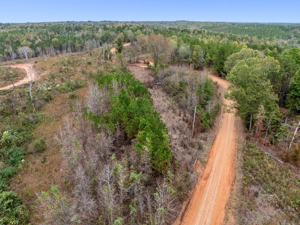 Lot 1 Guy Parham Lane Amory, MS 38821 - Photo 25 of 41 Photo 25