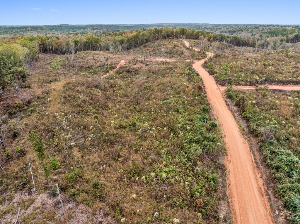Lot 1 Guy Parham Lane Amory, MS 38821 - Photo 26 of 41 Photo 26