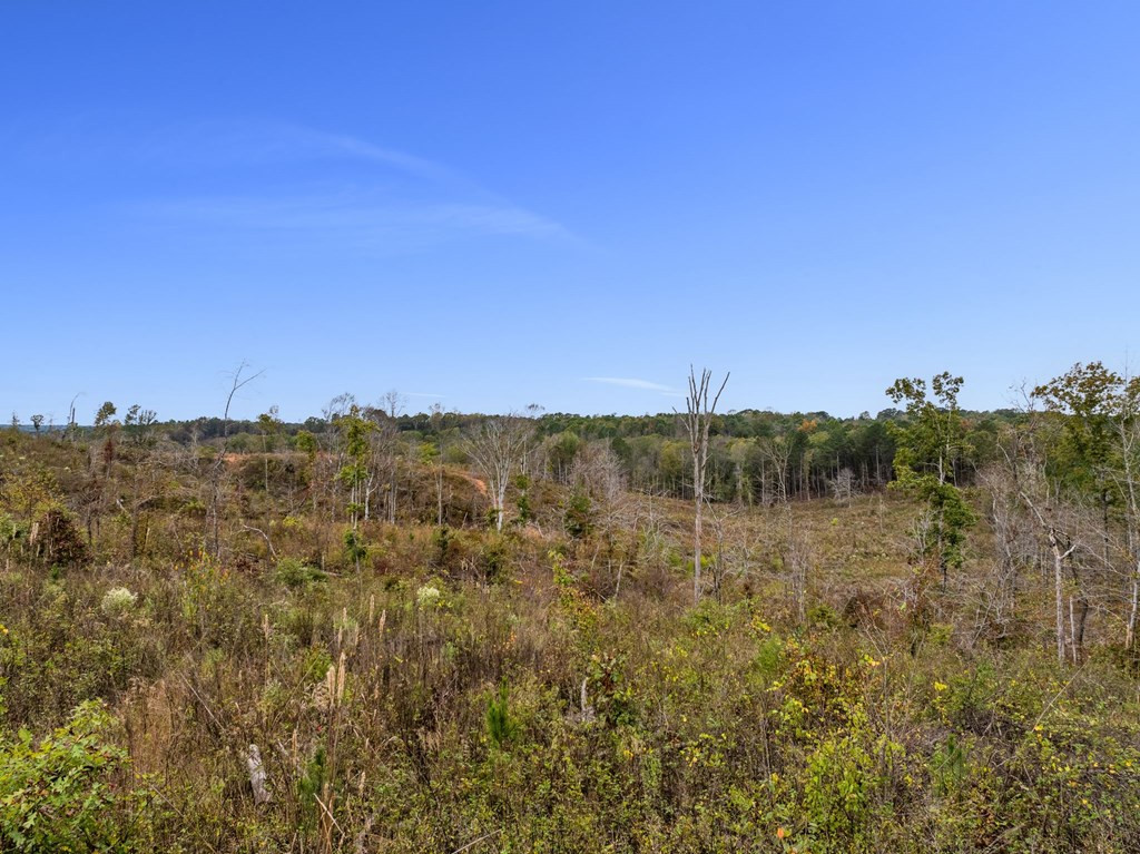 Lot 1 Guy Parham Lane Amory, MS 38821 - Photo 27 of 41 Photo 27