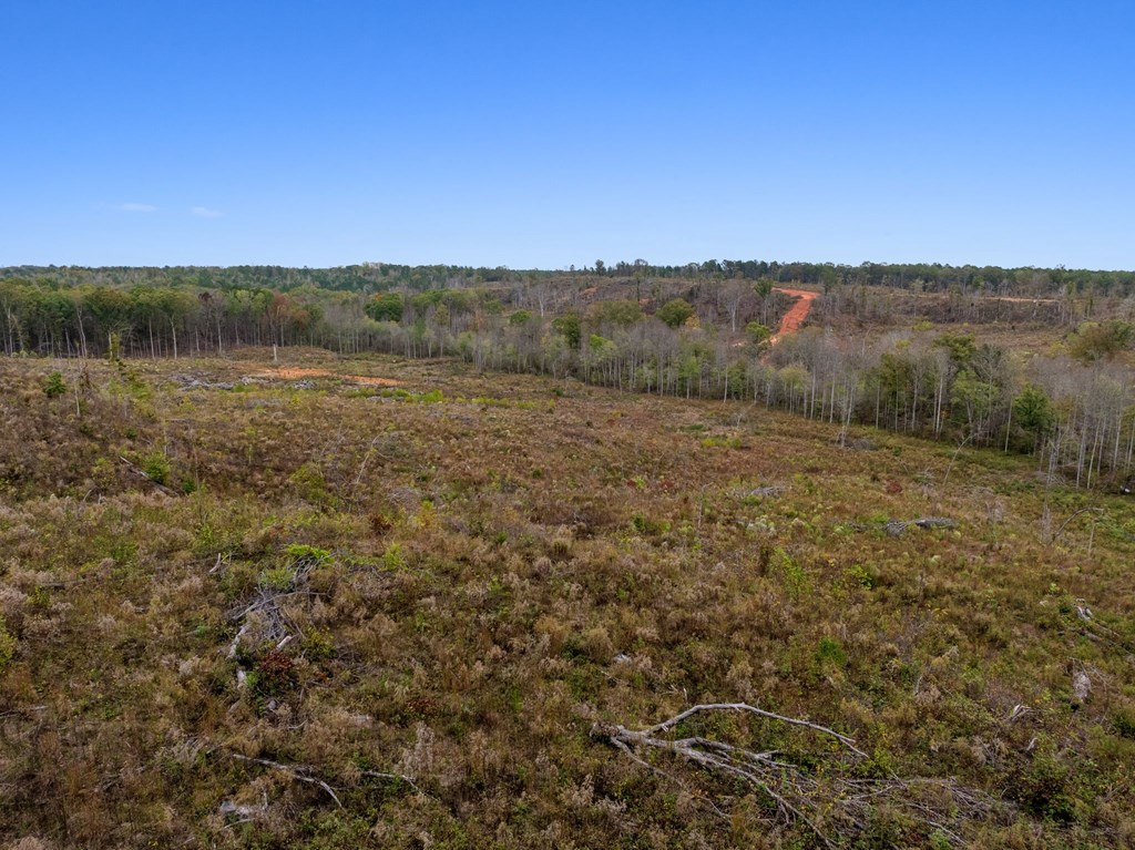 Lot 1 Guy Parham Lane Amory, MS 38821 - Photo 28 of 41 Photo 28