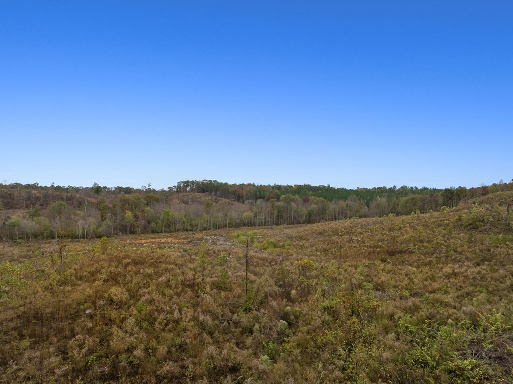 Lot 1 Guy Parham Lane Amory, MS 38821 - Photo 29 of 41 Photo 29