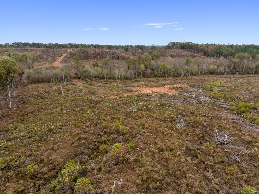 Lot 1 Guy Parham Lane Amory, MS 38821 - Photo 30 of 41 Photo 30