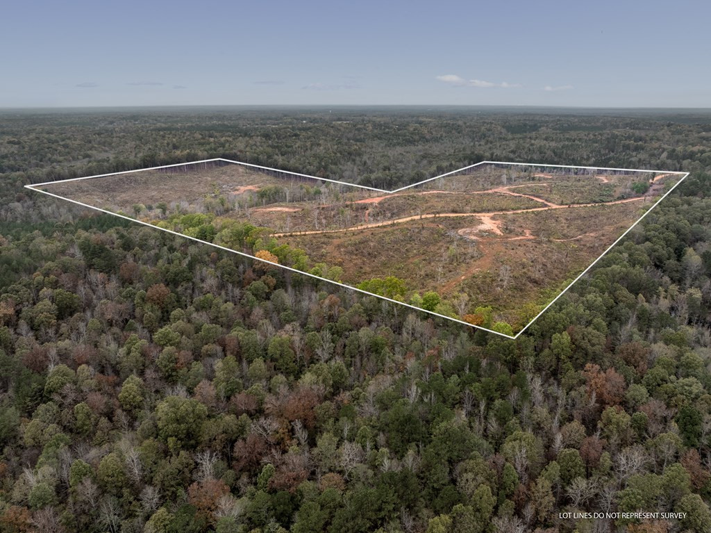 Lot 1 Guy Parham Lane Amory, MS 38821 - Photo 3 of 41 Photo 3