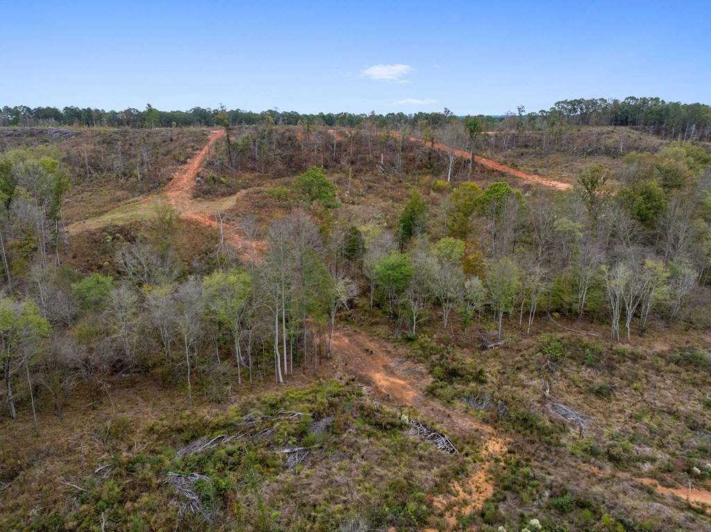 Lot 1 Guy Parham Lane Amory, MS 38821 - Photo 31 of 41 Photo 31