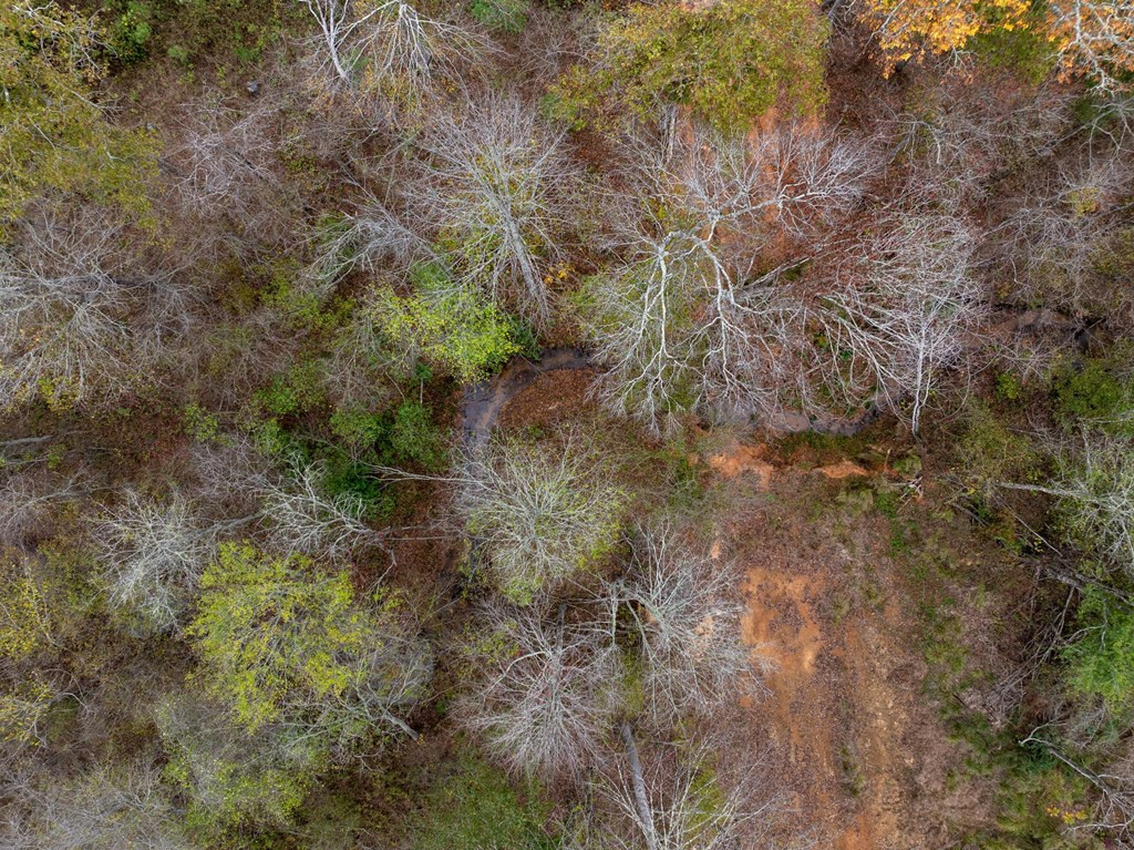 Lot 1 Guy Parham Lane Amory, MS 38821 - Photo 32 of 41 Photo 32