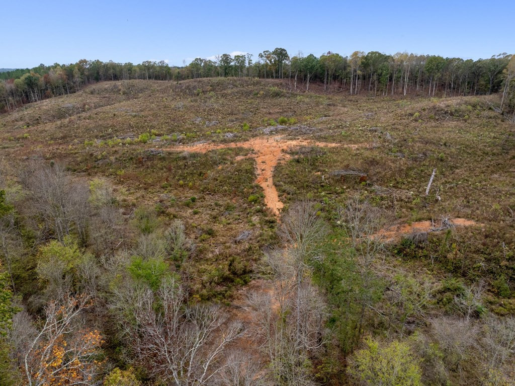 Lot 1 Guy Parham Lane Amory, MS 38821 - Photo 33 of 41 Photo 33
