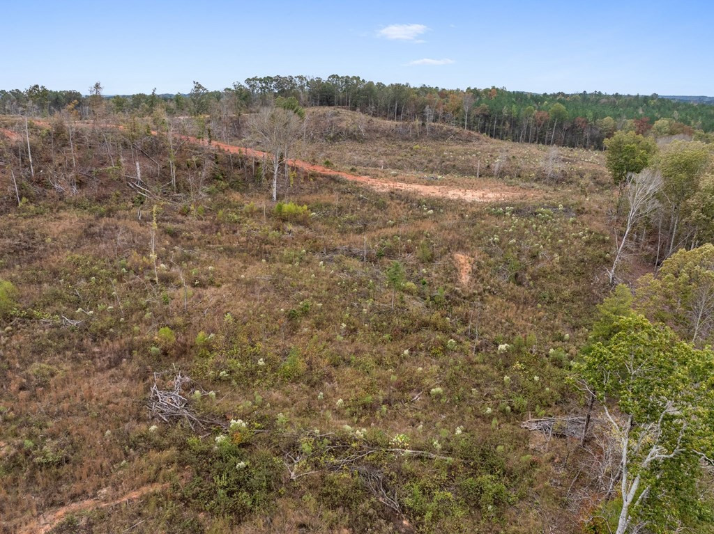 Lot 1 Guy Parham Lane Amory, MS 38821 - Photo 34 of 41 Photo 34