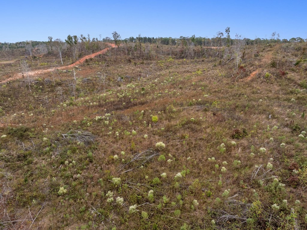 Lot 1 Guy Parham Lane Amory, MS 38821 - Photo 35 of 41 Photo 35
