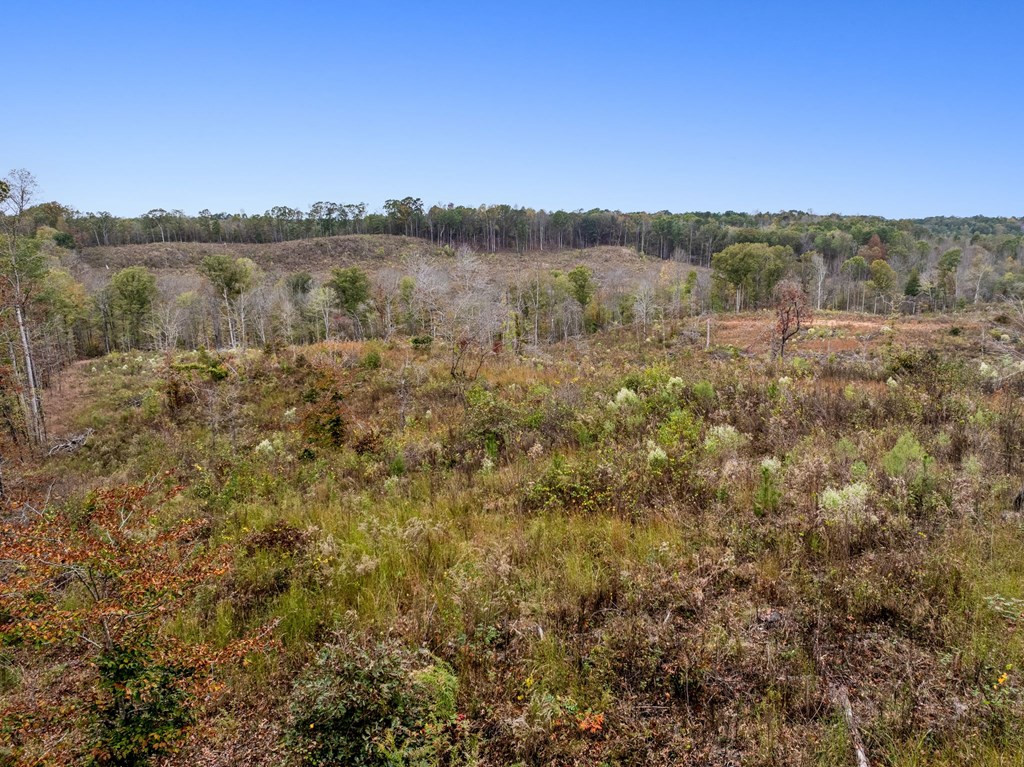 Lot 1 Guy Parham Lane Amory, MS 38821 - Photo 36 of 41 Photo 36