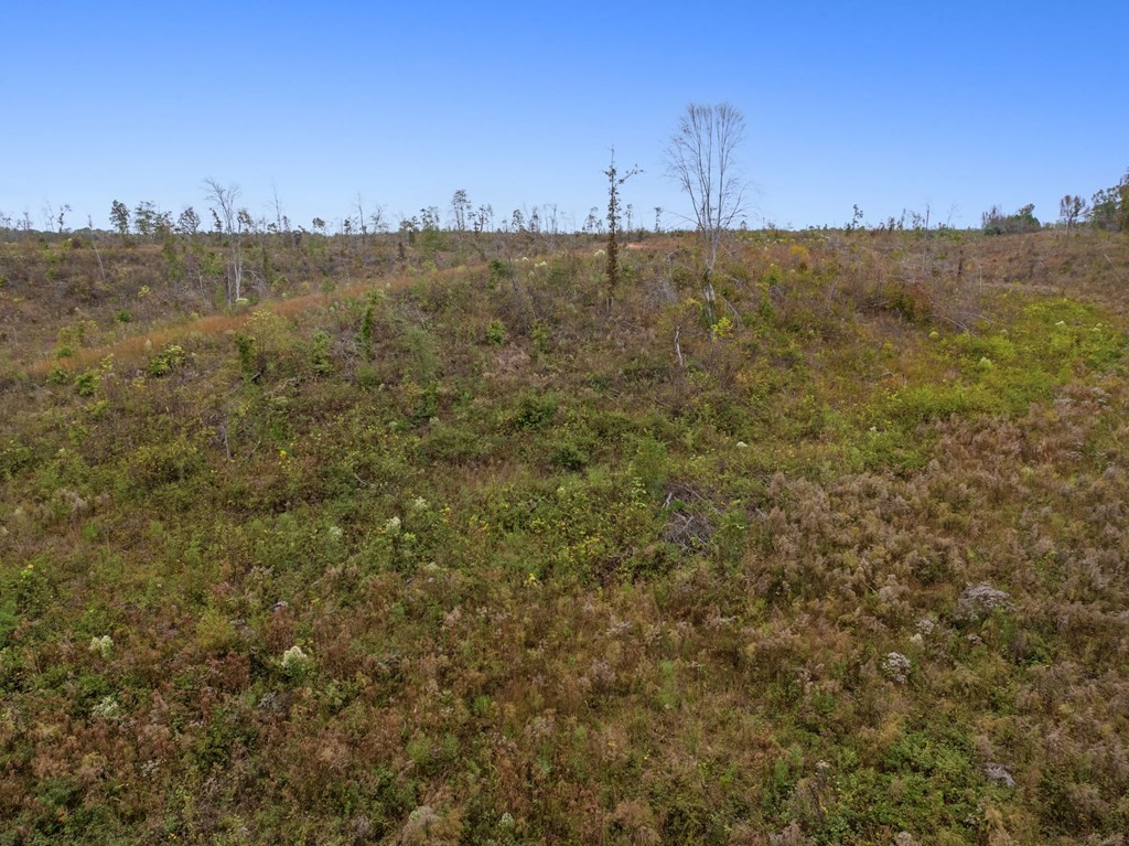 Lot 1 Guy Parham Lane Amory, MS 38821 - Photo 37 of 41 Photo 37