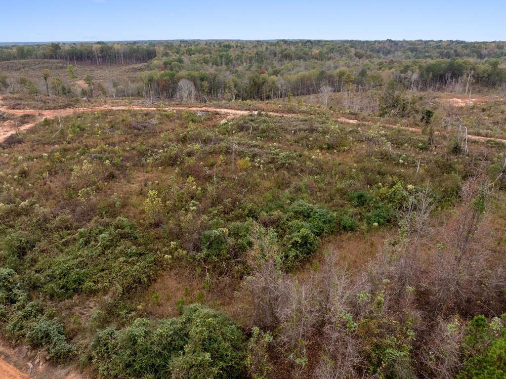 Lot 1 Guy Parham Lane Amory, MS 38821 - Photo 38 of 41 Photo 38