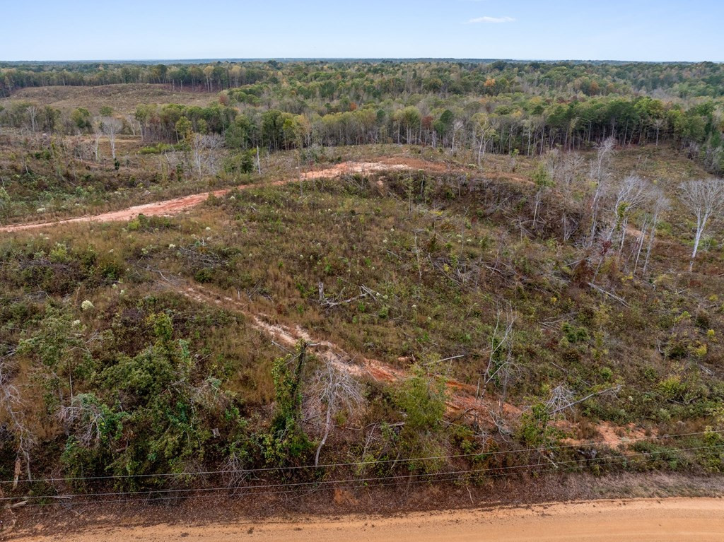 Lot 1 Guy Parham Lane Amory, MS 38821 - Photo 39 of 41 Photo 39