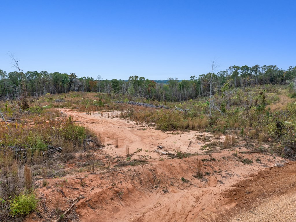 Lot 1 Guy Parham Lane Amory, MS 38821 - Photo 4 of 41 Photo 4