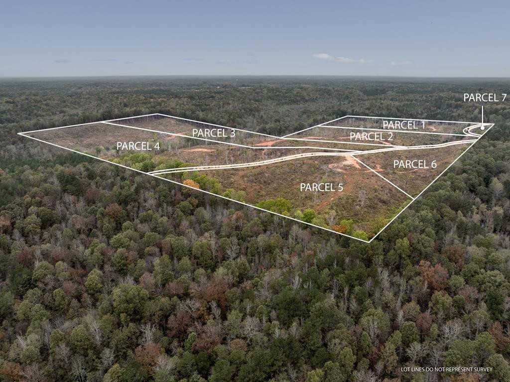 Lot 1 Guy Parham Lane Amory, MS 38821 - Photo 41 of 41 Photo 41