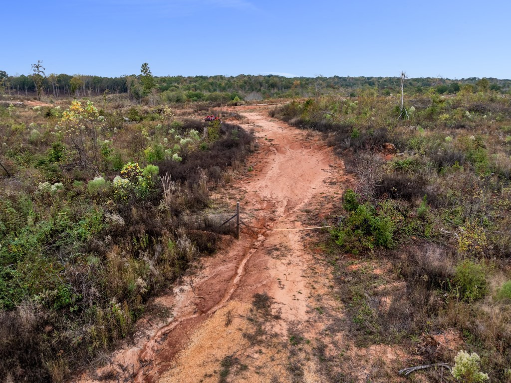 Lot 1 Guy Parham Lane Amory, MS 38821 - Photo 7 of 41 Photo 7