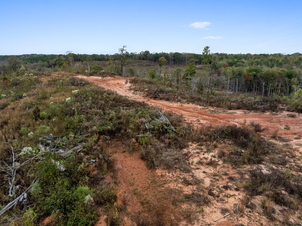 Lot 1 Guy Parham Lane Amory, MS 38821 - Photo 8 of 41 Photo 8