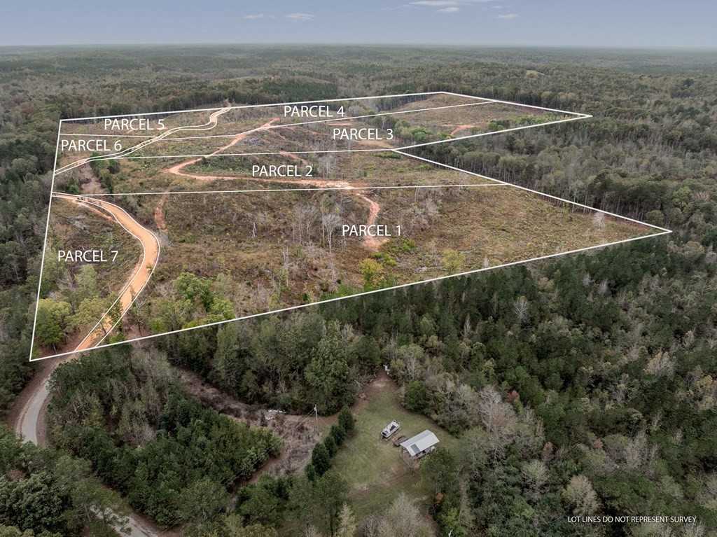 Lot 1 Guy Parham Lane Amory, MS 38821 - Photo 9 of 41 Photo 9