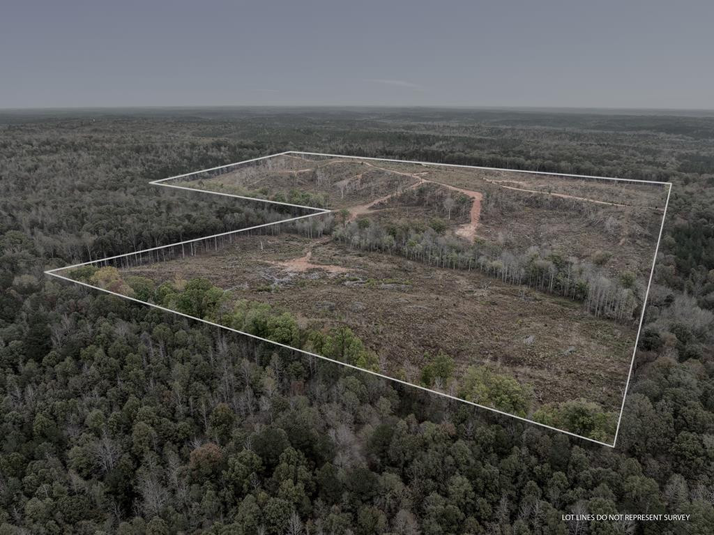 Lot 1 Guy Parham Lane Amory, MS 38821 - Photo 10 of 41 Photo 10