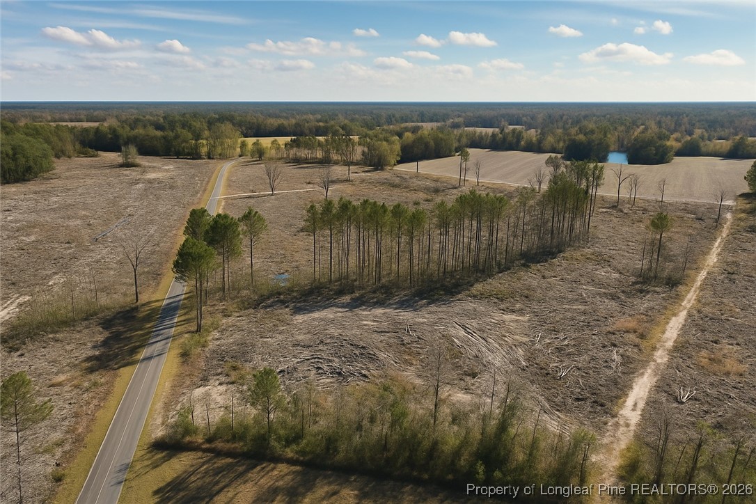 Lot 7 Barnesville Church Road Orrum, NC 28369 - Photo 5 of 10
