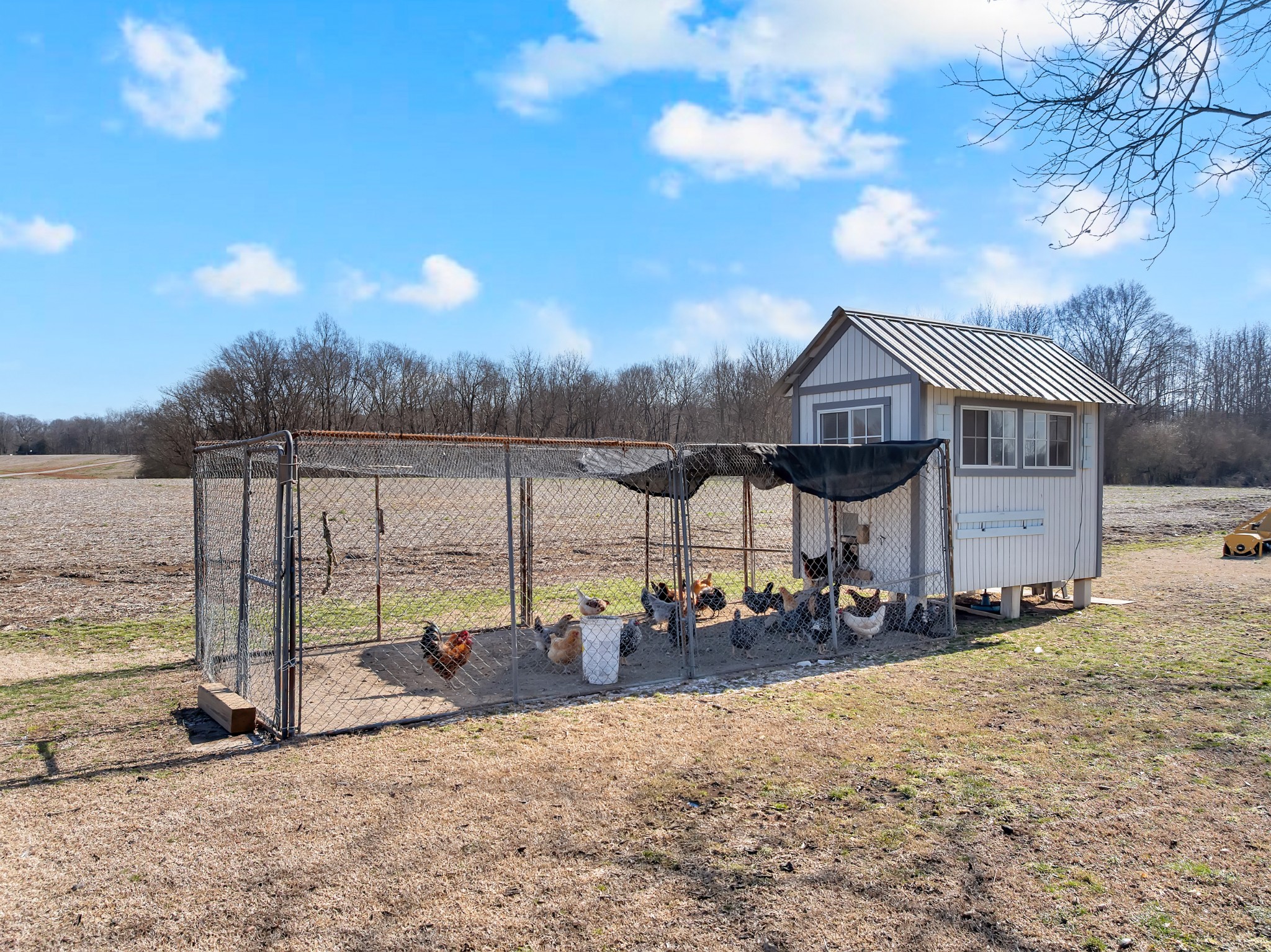52 Hotel Road Flintville, TN 37335 - Photo 32 of 48 a view of a house with a backyard from a tub