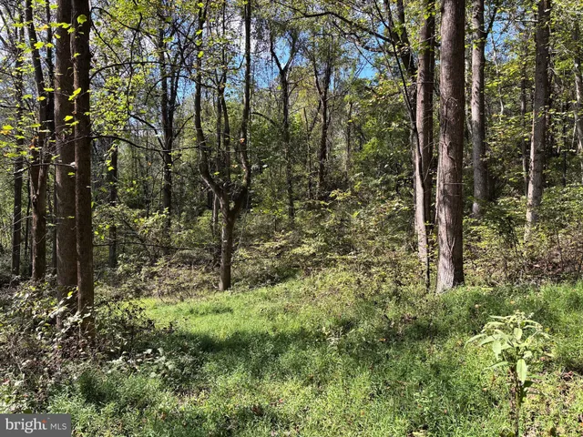 a big yard with lots of green space and house