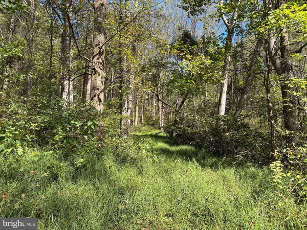 a view of small yard