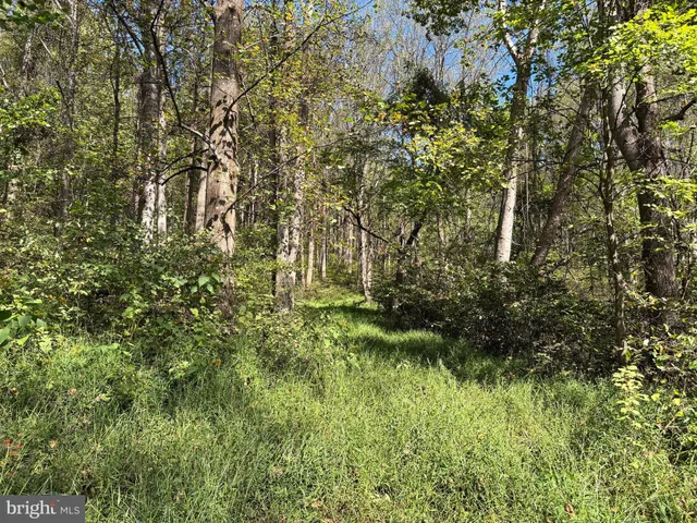 a view of small yard