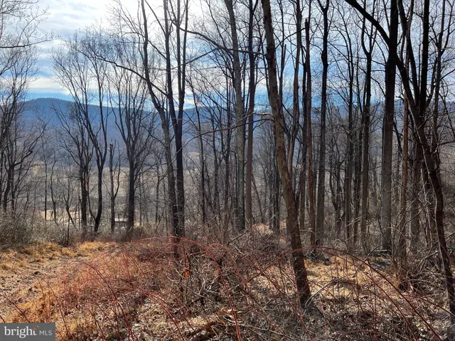 a view of a yard with an outdoor space