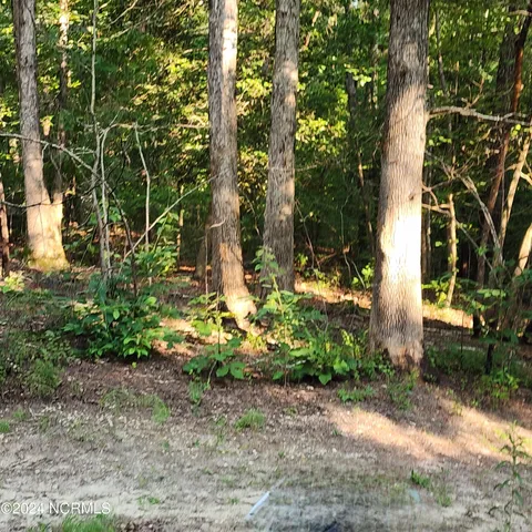 $150,000 | 471 Turlington Drive, Benson, NC 27504