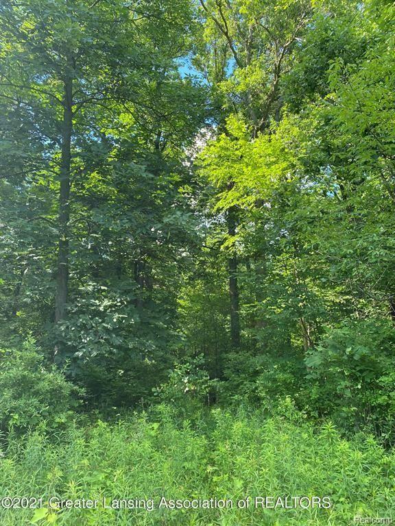 0 Olds Road Leslie, MI 49251 - Photo 14 of 15